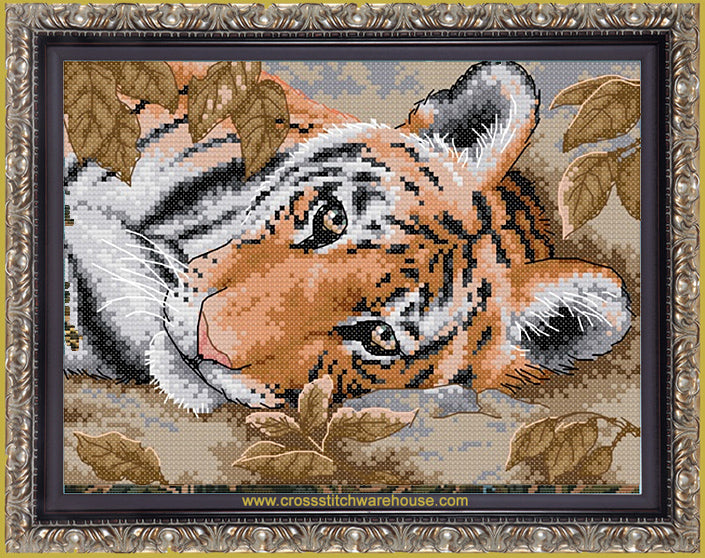 Resting Tiger