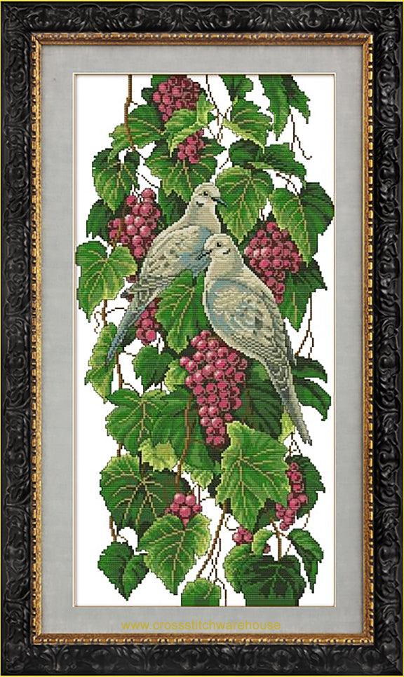 Morning Doves and Grapes