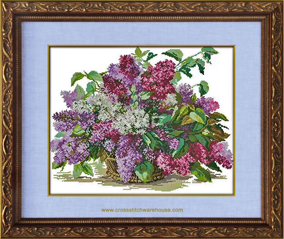 Lilacs Still Fife