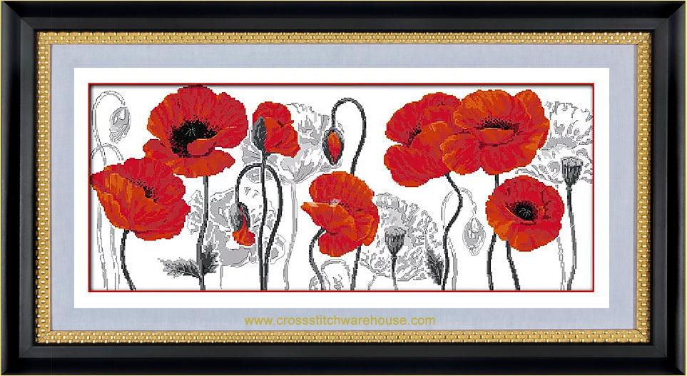 Poppies Row