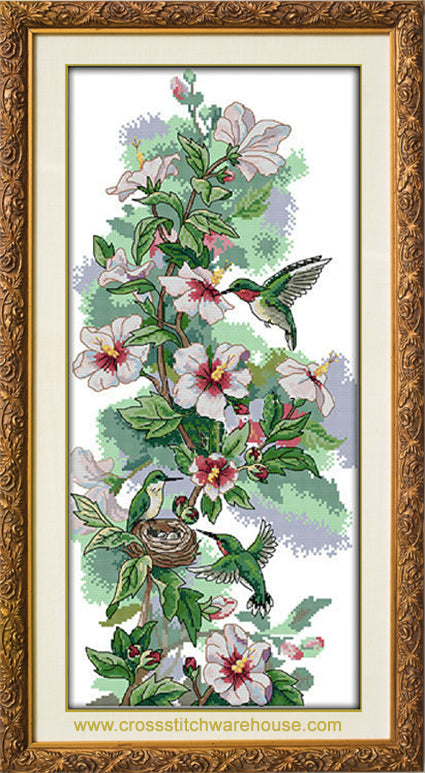 Hummingbirds & Blossoms