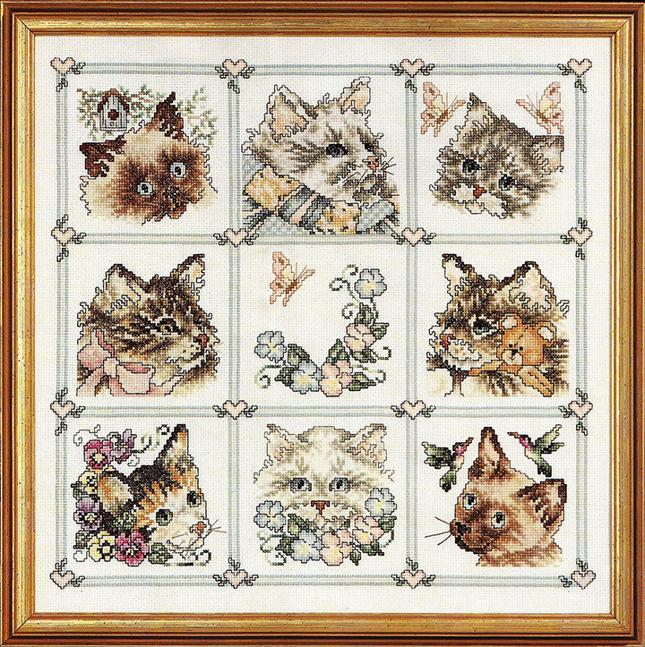 Cat Sampler