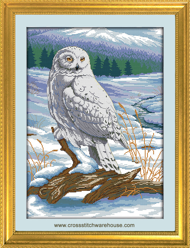 Snowy Owl