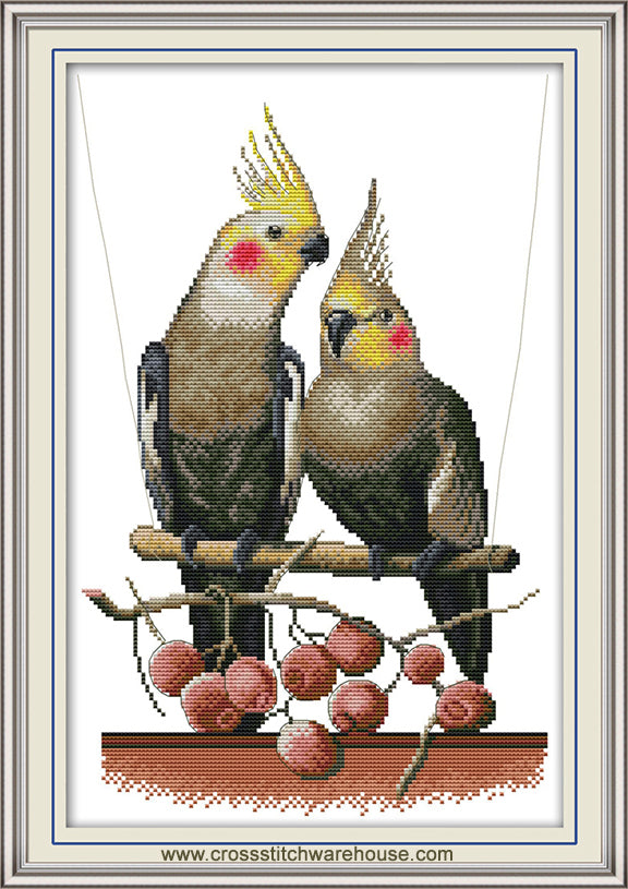 Two Cockatiels