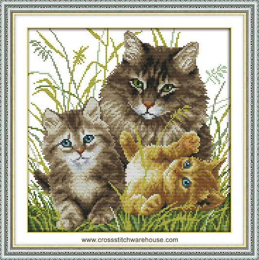 Cat Portrait - Mom And Kittens