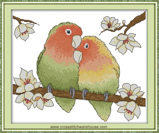 Peach-Face Love Birds