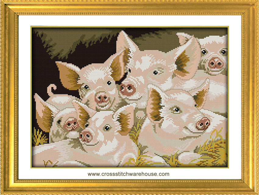 Hog Family Portrait