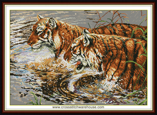 Bathing Tigers