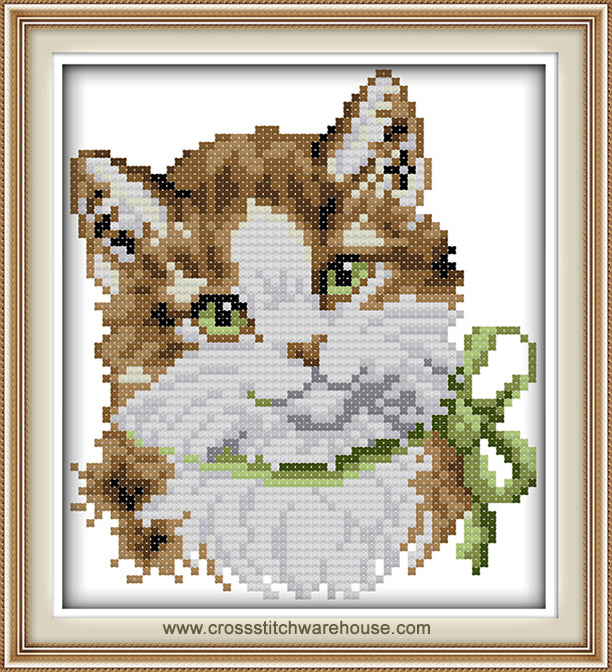 Cat Portrait - Miss Kitty