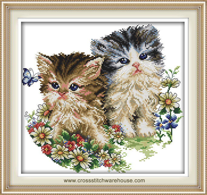 Cat Portrait - Two Cute Kitties