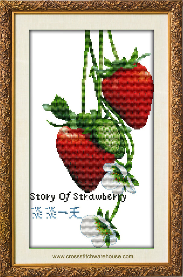 Story of Strawberry