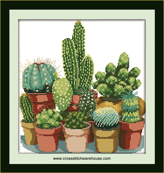 Cactus Collection