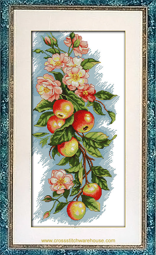 Apples and Blossoms