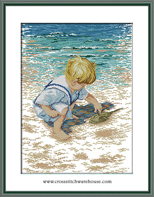 Boy With Horseshoe Crab