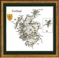 Scotland Map