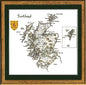 Scotland Map -  CHART ONLY