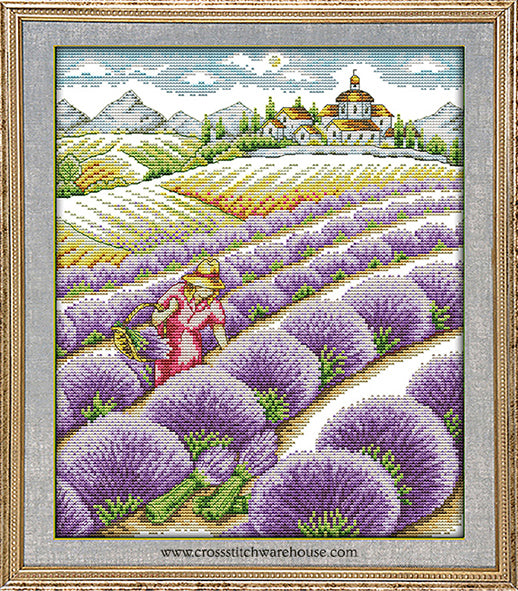 Tuscan Lavender Fields