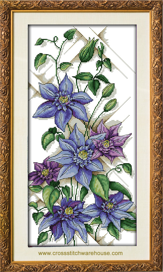 Clematis Trellis