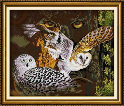 Portrait Of Owls