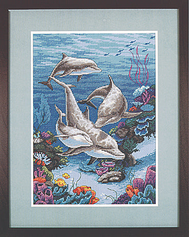 The Dolphins