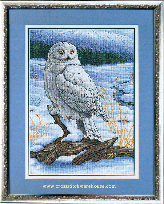 Snowy Owl