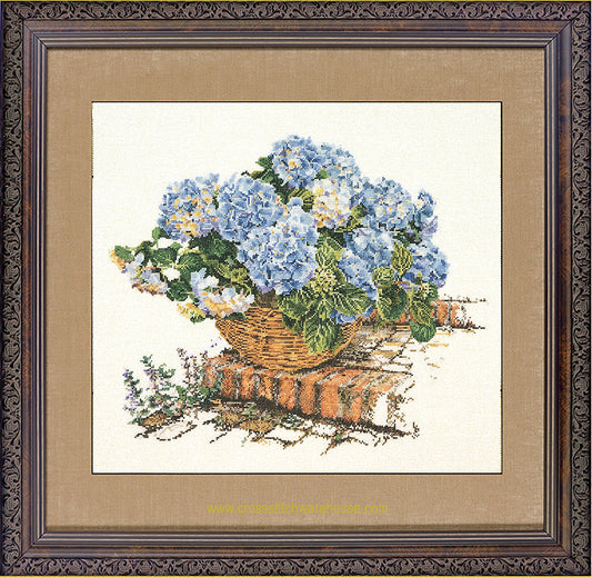 Blue Hydrangea