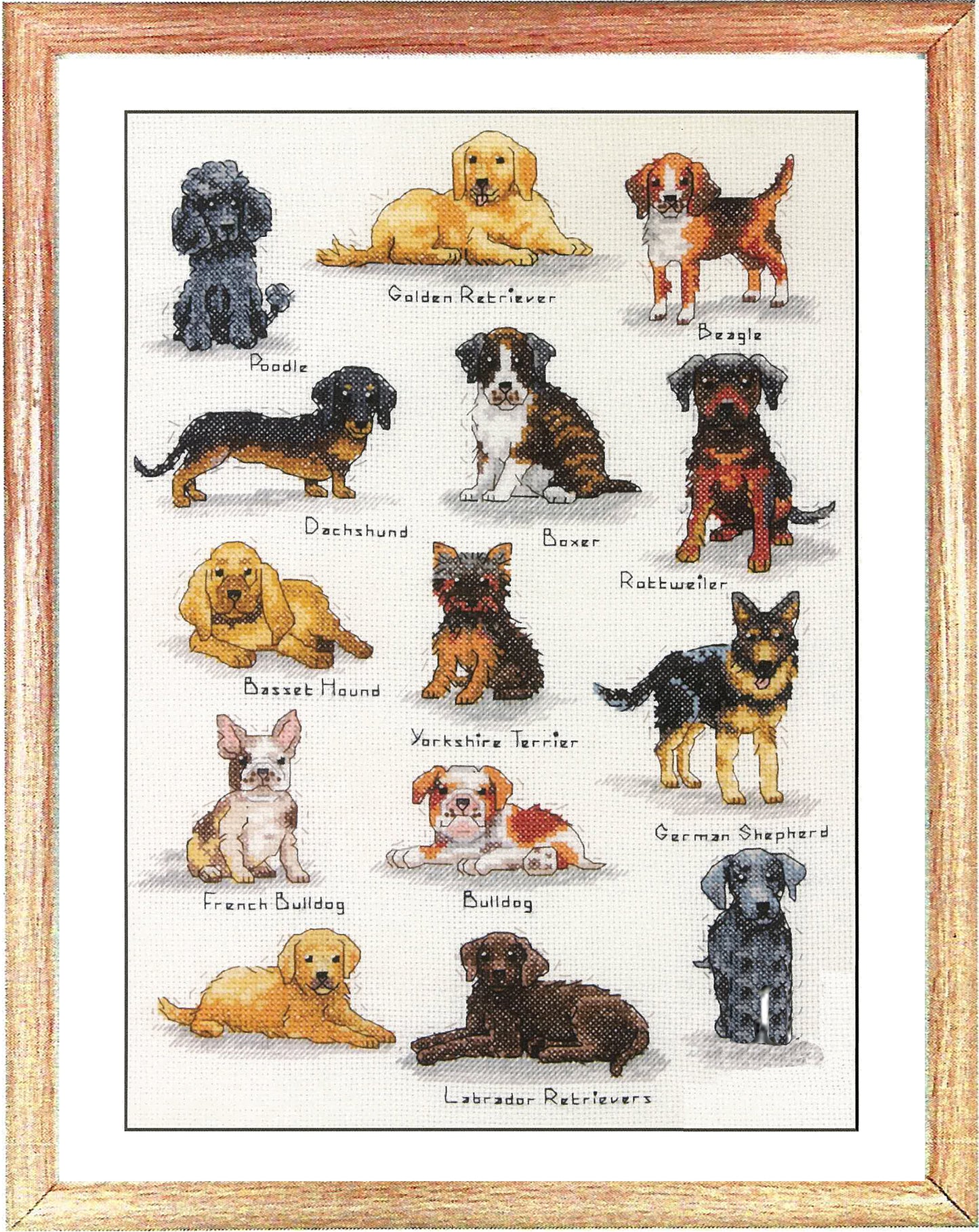 Dog Sampler
