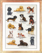 Dog Sampler