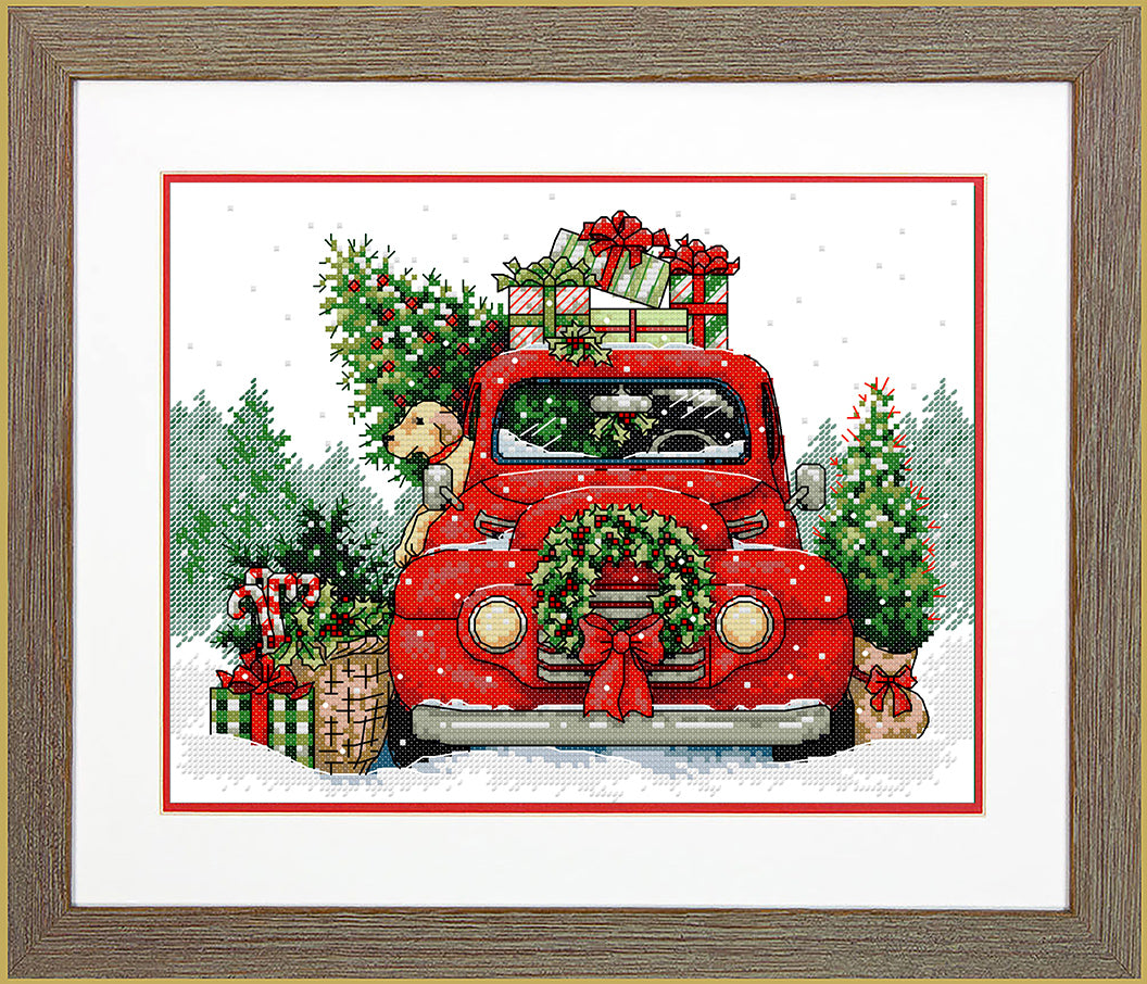 Holiday Surprise