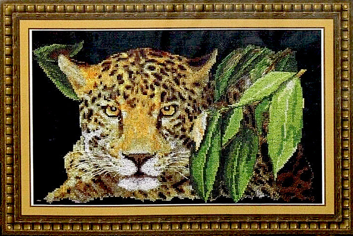 Leopard Portrait
