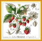 Botanical - Strawberries