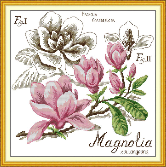 Botanical - Magnolia