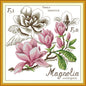 Botanical - Magnolia