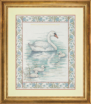 Picture of Swans