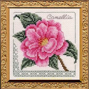 Picture of 5" x 5" - Camellia