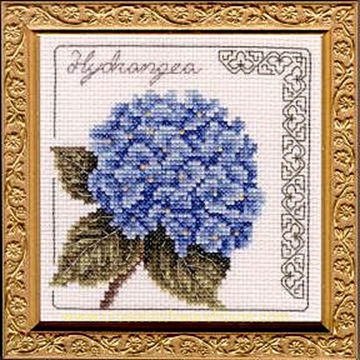 Picture of 5" x 5" - Hydrangea