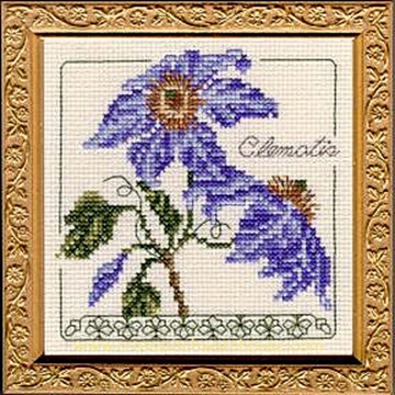 Picture of 5" x 5" - Clematis
