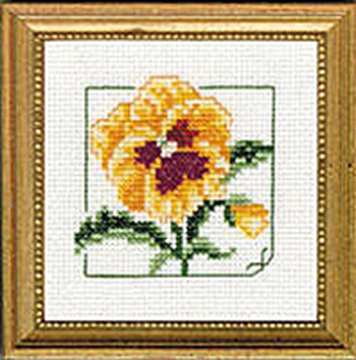 Picture of 4" x 4" - Pansy