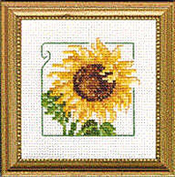 Picture of 4" x 4" - Sunflower