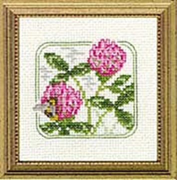 Picture of 4" x 4" - Z - Red Clover