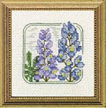 Picture of 4" x 4" - Z - Lupine