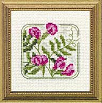 Picture of 4" x 4" - Z - Vetch