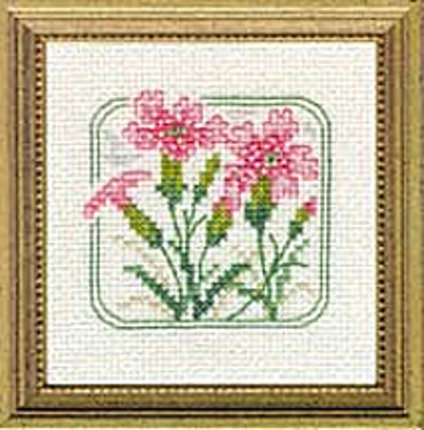 Picture of 4" x 4" - Z - Maiden Pink