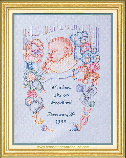 Dimensions Birth Record for Baby Counted Cross Stitch Kit, 10 x 14